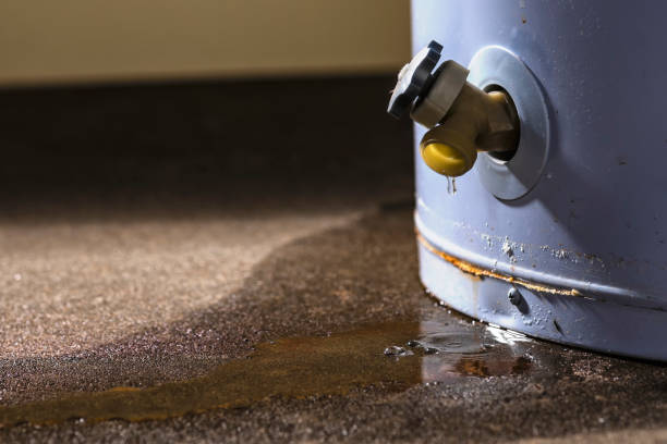 Best Ceiling water damage repair  in Chagrin Falls, OH