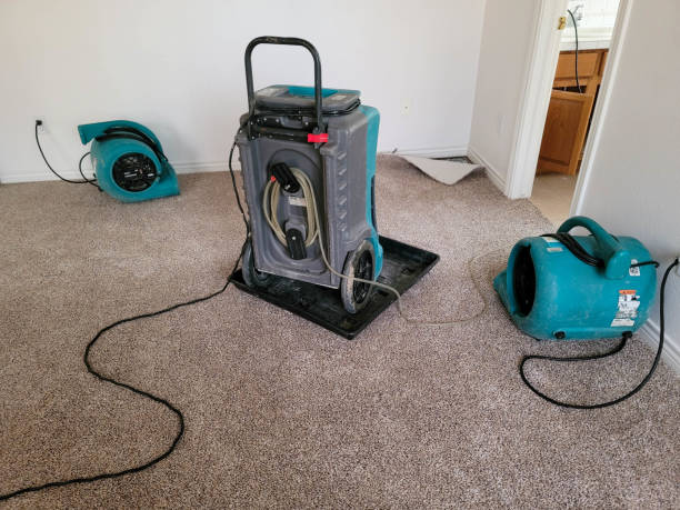 Best Mold removal after water damage  in Chagrin Falls, OH