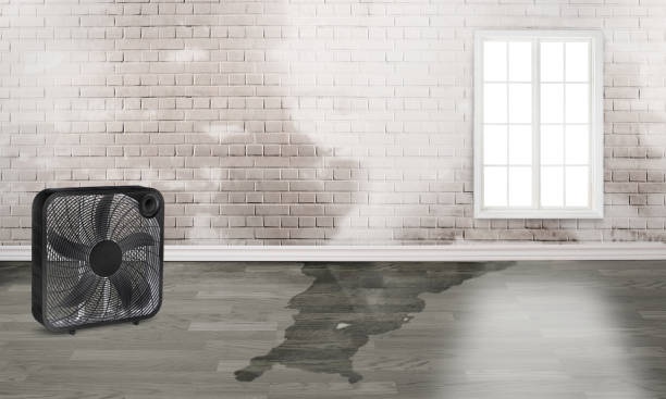 Best Commercial water damage restoration  in Chagrin Falls, OH