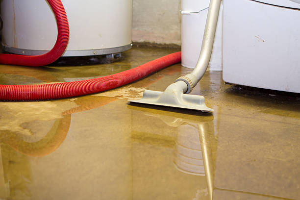 Best Sewage cleanup and water damage restoration  in Chagrin Falls, OH