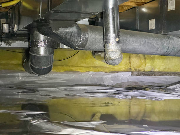 Best Water damage restoration mold remediation  in Chagrin Falls, OH